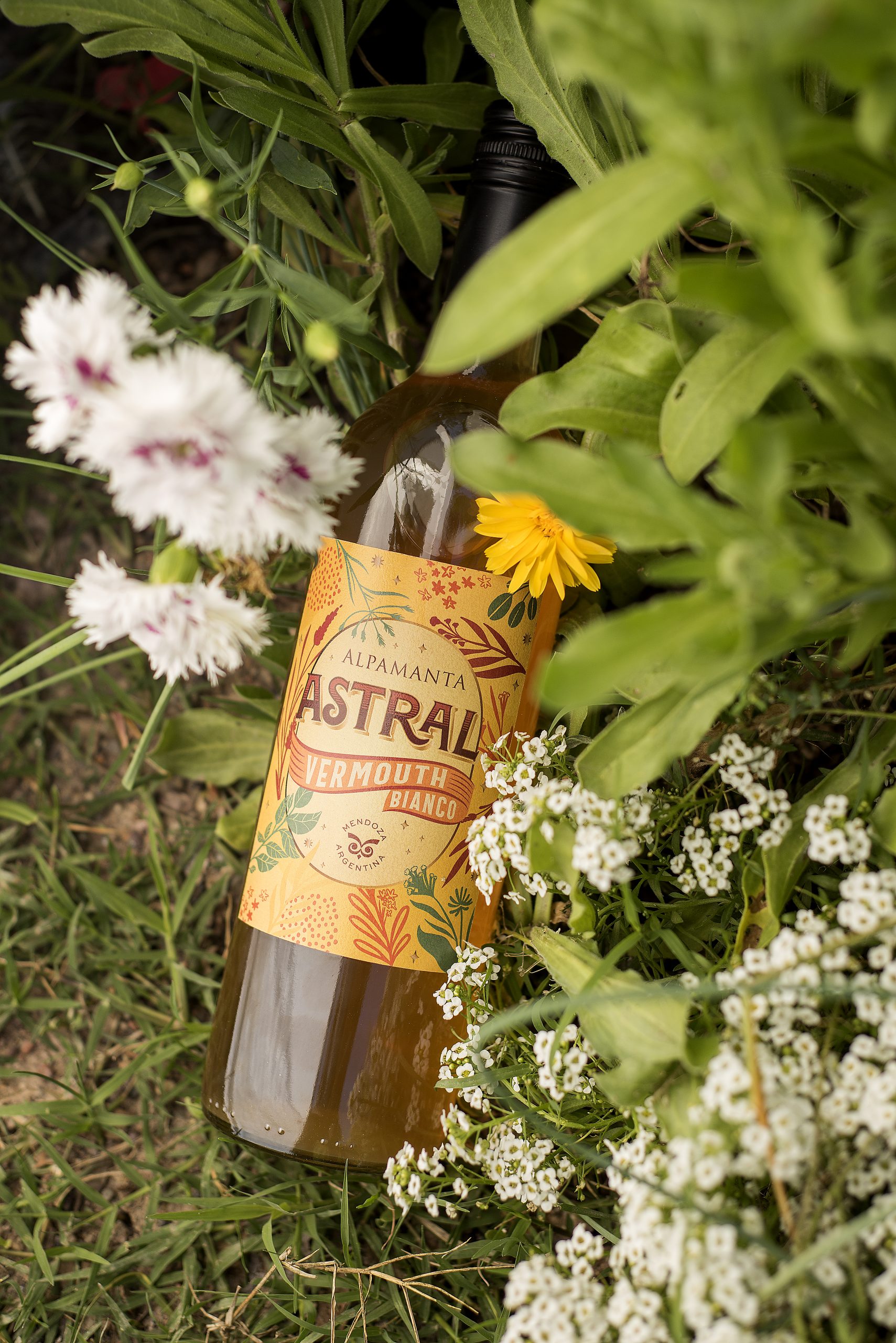 Astral, vermut orgánico y biodinámico de Alpamanta – Rincon Bon Vivant