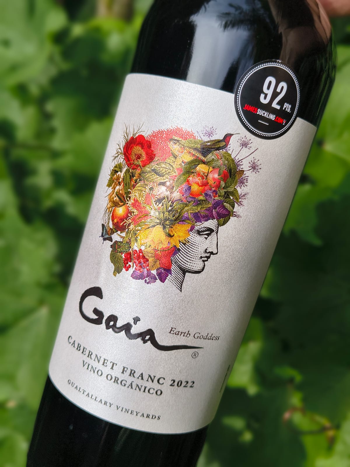 Gaia Cabernet Franc Orgánico & Biodinámico 2022 – Rincon Bon Vivant